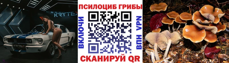 Псилоцибиновые грибы MAGIC MUSHROOMS  Купить где  Циолковский 